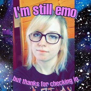 Meet your Posher, Danni